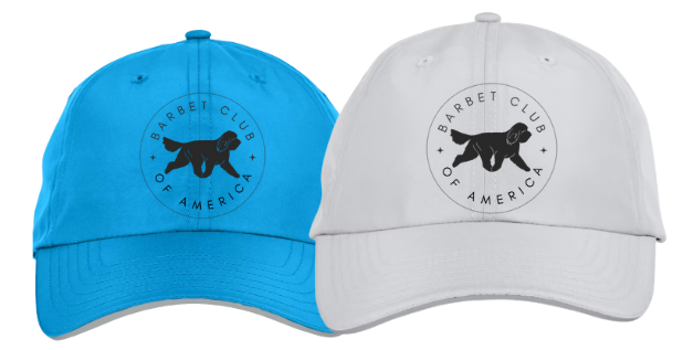Performance Hat
